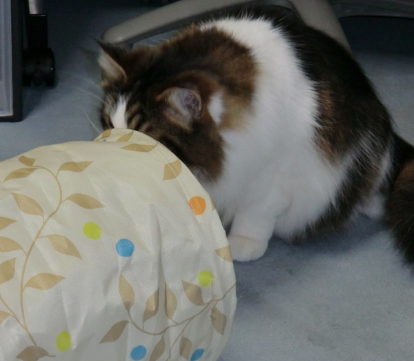 2011-04-09-06.jpg