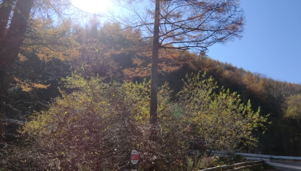 2011-11-04-02.jpg