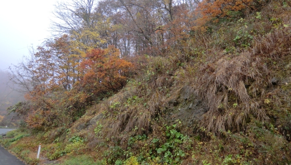 2011-11-05-01.jpg