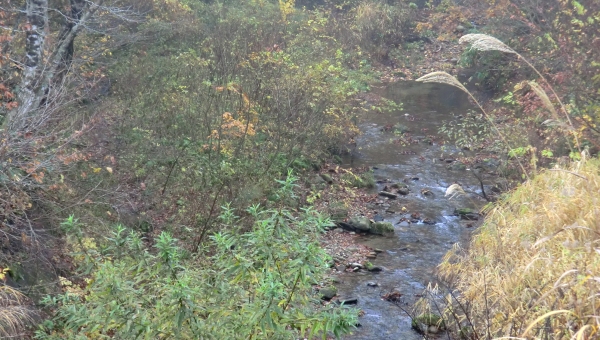 2011-11-05-02.jpg